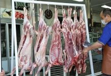 Le bilan économique du régime iranien