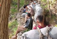 Deux autres Koulbars tués par les gardes-frontières iraniens en 24 heures