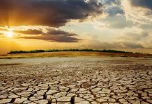 Iran : valeur du sol et importance de sa conservation