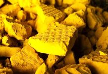 Des négociations clandestines entre le régime iranien et le Niger pour l’achat illégal d’uranium