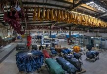 La pénurie de gaz en Iran perturbe les industries clés et la production d’électricité