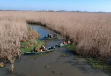 Désastre écologique : La zone humide d’Anzali est en train de disparaître en Iran