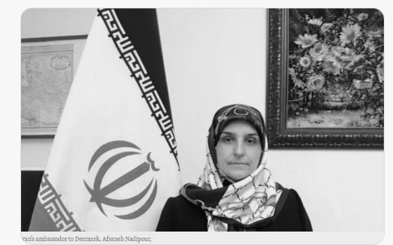 Appel contre la nomination d'une apologiste du régime iranien au comité consultatif du CDH