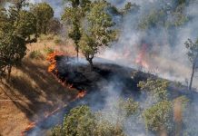Crises de l’eau, du carburant et de l’alimentation en Iran : un régime à court d’options