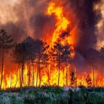 Les poumons de l’Iran en feu : Incendies de forêt, air toxique et enjeux politiques d’un effondrement environnemental