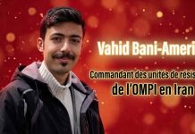 Le testament impérissable de Vahid Bani-Amerian